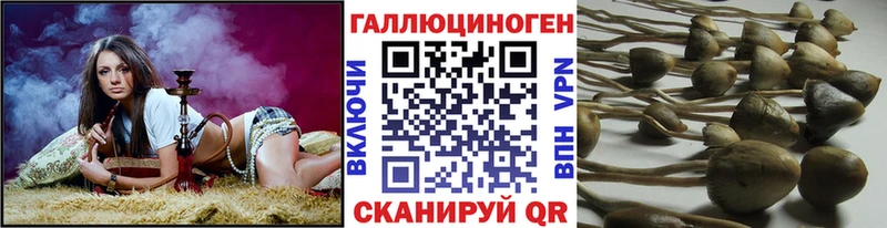omg   Гуково  Галлюциногенные грибы прущие грибы 